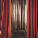 Painted Ikat Fabric, Sienna