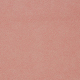 Small Dots Wallpaper, Peach - Archive