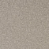 Small Dots Wallpaper, Powder - Archive