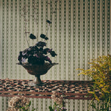 Eivor's Stripe Wallpaper, Moss