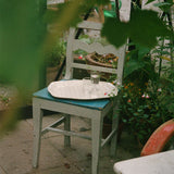 The Family Tray Collection, Curve Drop Rose